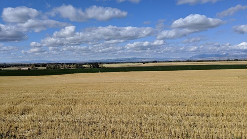 Gallatin County Montana productive farm land!