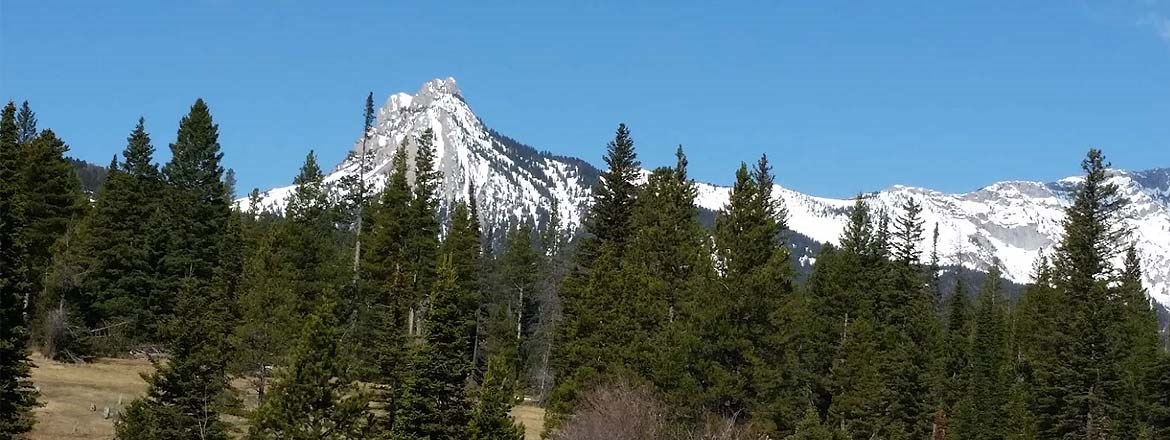 Decorative Image Slide 1